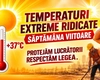 ITM Iași, recomandări pentru angajatori pe fondul caniculei. Ce măsuri sunt obligatorii pentru protejarea salariaților