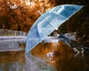 Cod galben de ploi torențiale în România. Ce județe sunt vizate în următoarele ore
