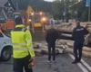 Accident grav pe DN1, aproape de Predeal! Două persoane au avut nevoie de îngrijiri medicale