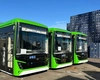 Primăria Târgu Frumos cumpără autobuze electrice! Contractul scos la licitație depășește 6 milioane de lei