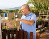 Românii care stau la casă trebuie să știe asta. Când ești obligat să-ți lași vecinul în curte