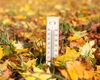 Prognoza meteo pentru următoarele patru săptămâni: Ne așteaptă o toamnă blândă. Zonele în care va ploua
