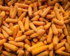 Lovitură de 10 miliarde de dolari pentru Ucraina! SUA profită de criza cerealelor din Europa