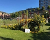 Florall, eveniment dedicat florilor, în acest weekend la Iași!