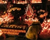11 ani de la tragedia din Colectiv. Despăgubirile victimelor nu au fost recuperate integral, iar procesele continuă