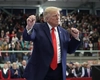 Donald Trump pregătește o mutare de proporții în Groenlanda! Ce se ascunde în spatele noului anunț