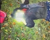 Cine este mama cu patru copii, ucisă de un vânător în pădurea din Maramureș. Femeia fusese ajutată de bărbat cu puțin timp înainte de tragedie