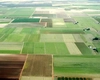 Cât costă un hectar de teren agricol în Iași? Prețurile au luat-o razna, mai ales în zona metropolitană, unde clienții plătesc sume exorbitante