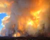 Două incendii uriașe au făcut prăpăd în New Mexico. Flăcările au distrus peste 500 de clădiri – VIDEO