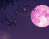 Fenomen rar pe cerul României. Când vom putea vedea „Luna Căpșunilor”’ sau „Luna Roz”