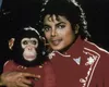 Cimpanzeul lui Michael Jackson încă trăiește! Bubbles este îngrijit din banii moșteniți de la marele artist