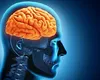 Curiozități despre creierul uman. Informații despre care sigur nu știai