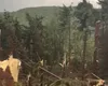 A fost prăpăd în Maramureș! O pădure a fost distrusă în doar 10 minute – VIDEO