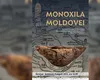 „Monoxila Moldovei”, barca medievală descoperită în albia râului Moldova, expusă la Palatul Culturii din Iași