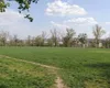 Cel mai mare parc de agrement din municipiu va fi construit în cartierul Tătărași. Mihai Chirica: „Sperăm să dispară aglomerația spre Copou”