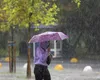Nouă avertizare meteo de Cod Galben! Localitățile vizate de ploi și vijelii în următoarele ore