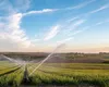 Nu sunt probleme cu apa pentru irigații, la Iași! Fermierii au udat peste 15.000 de hectare