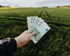 Proprietarii de terenuri vor primi bani! Ce condiții trebuie să îndeplinească românii