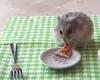 Ce mănâncă hamsterii? Cum trebuie să arate dieta acestui mic rozător?