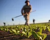 Când primesc fermierii despăgubirile pentru calamităţile provocate de secetă. Anunțul ministrului Agriculturii, Florin Barbu