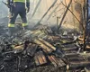 Incendiu provocat de copii în localitatea Oprișeni! Un adăpost de animale distrus și 500 kg de plante furajere arse