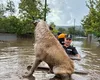 Ce trebuie să facă oamenii ca să evite situațiile de risc cauzate de fenomenele meteorologice