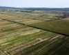 A scăzut numărul ofertelor pentru vânzarea terenurilor agricole din Iași. Proprietarii cer sume mai mari față de anii precedenți