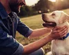 Ani de câine în ani de om. Cum se calculează vârsta animalelor de companie și care este speranța de viață a celor mai iubite rase