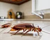 Ce capcană este utiliă pentru gândacii de bucătărie? Iată cum scapi de dăunătorii din casa ta!