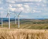 România va avea cel mai mare parc eolian din Europa! Investiția este estimată la peste 1 miliard de euro