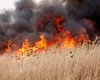 Garda de Mediu Iași vă amendează imediat dacă ardeți vegetația uscată. Autoritățile sunt în alertă, în această perioadă