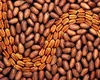 Iată tot ce trebuie să știi despre nucile pecan – Beneficiile și contraindicațiile lor