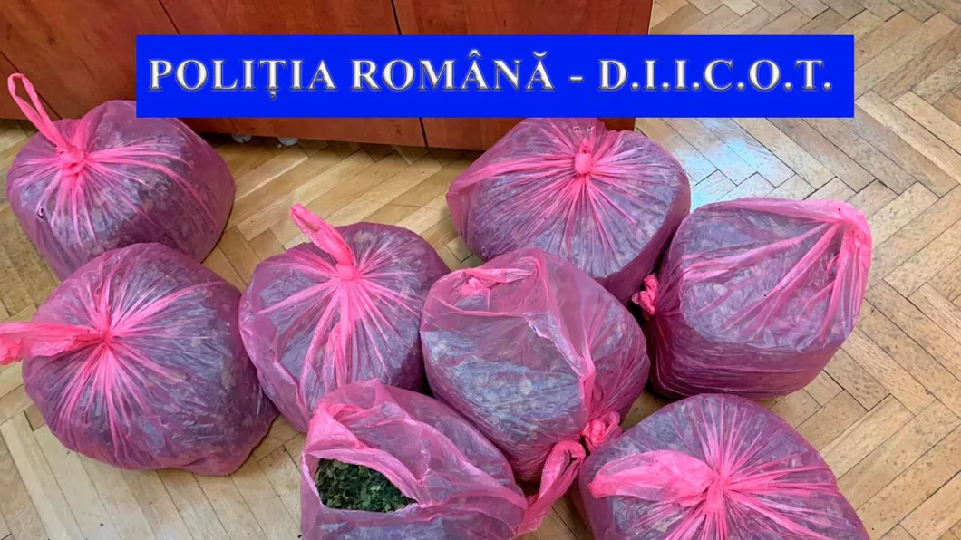 Captură record de droguri la Iaşi Zeci de kilograme de droguri confiscate de DIICOT - UPGRADE