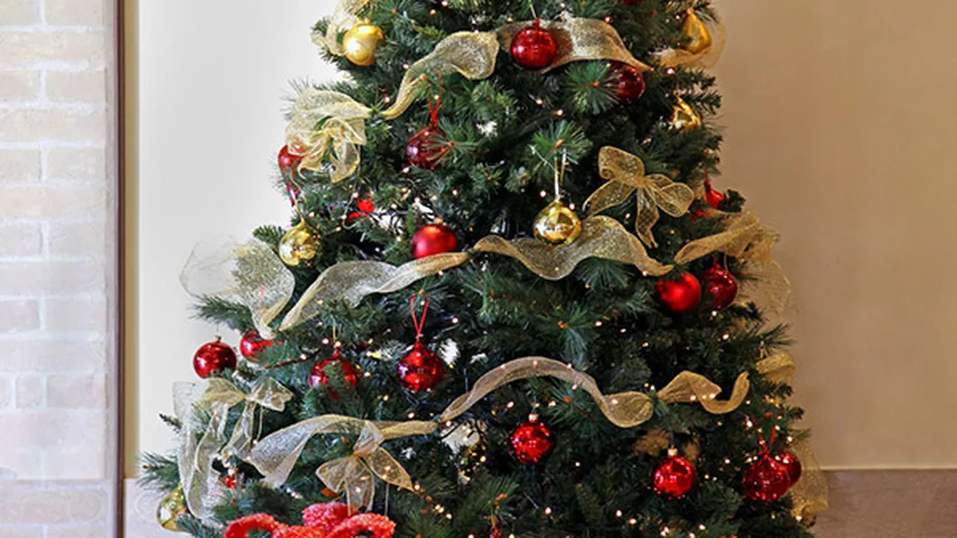 Este una dintre cele mai frumoase tradiții din lume Când se împodobește de fapt bradul de Crăciun ca să nu ai ghinion
