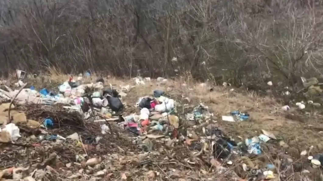 Dezastru ecologic lângă municipiu. Un monument istoric gata să fie îngropat sub un morman de deșeuri