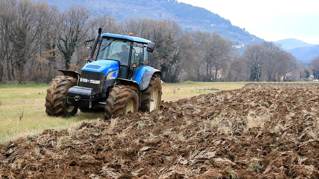 Prețurile terenurilor au explodat Un străin a plătit 150.000 de euro pentru câteva hectare lângă Iași. Iată în ce afacere vrea să investească toți banii