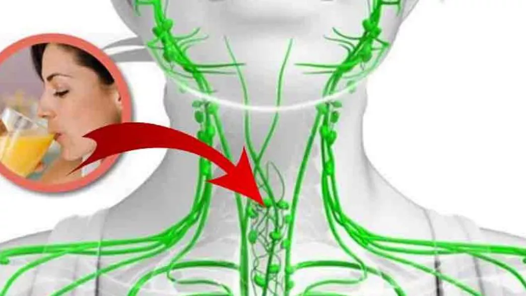 O limfă curată o viaţă sănătoasă. Cum se curăţă limfa