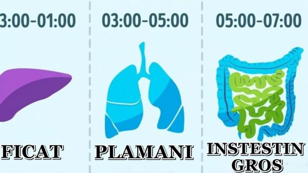 Dobândeşte aceste obiceiuri ca să trăieşti mai mult