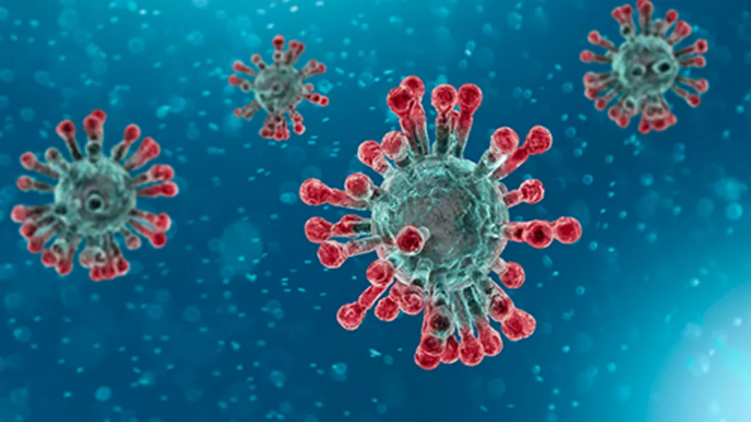 Coronavirusul are un călcâi al lui Ahile au descoperit cercetătorii aflaţi în cautarea unui vaccin