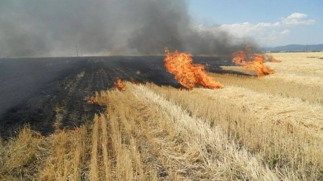 Vreți să curățați terenurile și să ardeți resturile Aveți nevoie de aviz de la Protecția Mediului Iași