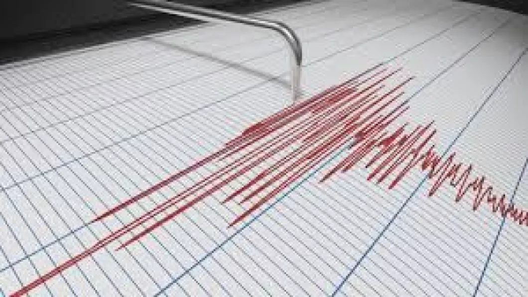 Un nou cutremur în judeţul Vrancea. Ce magnitudine a avut
