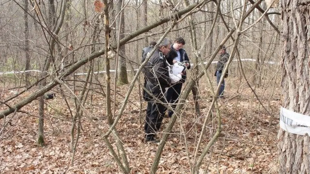 Doi bărbați au fost găsiți morți într-o pădure de lângă Sibiu