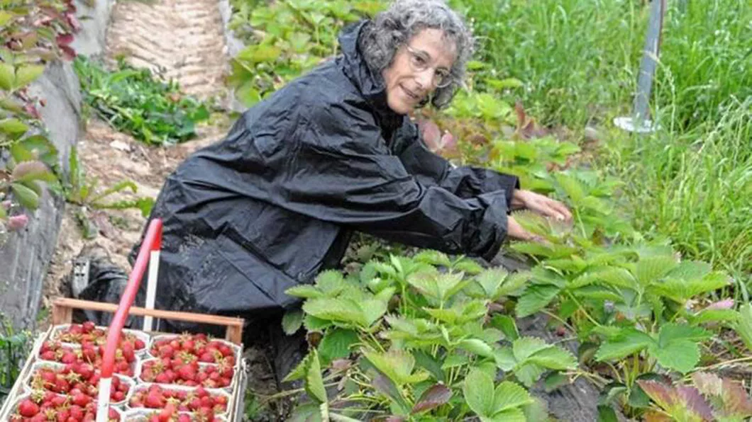 Jurnalistă germană după ce a muncit la o fermă de căpșuni alături de români E o muncă grea Recunosc doar ei o pot face