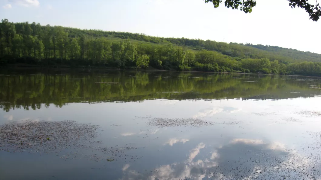 Mortalitate piscicolă în lacul Ezăreni din Iași. Cum explică specialiștii prezența peștilor morți în apa de la marginea orașului