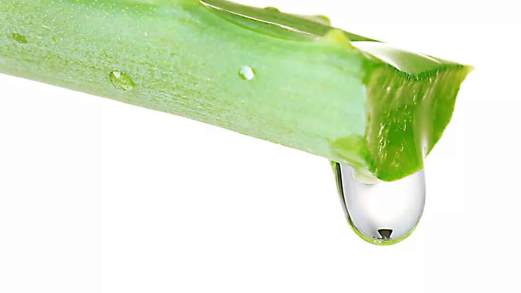 Aloe vera 4 utilizări ale acestui gel vara