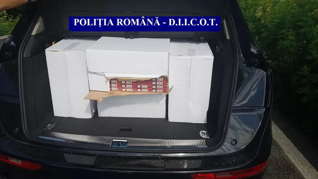 Rețea de contrabandă cu țigări destructurată de mascații de la DIICOT Marfa pleca din Iași Prejudiciul este imens FOTO