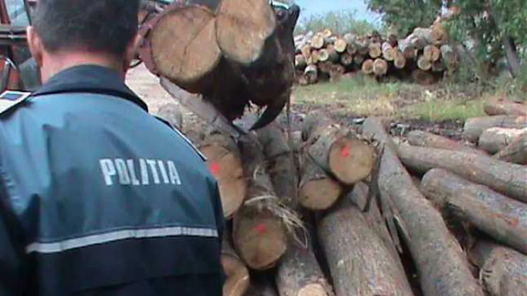 Poliţiştii au împuşcat un hoţ de lemne după ce i-a ameninţat cu sabia