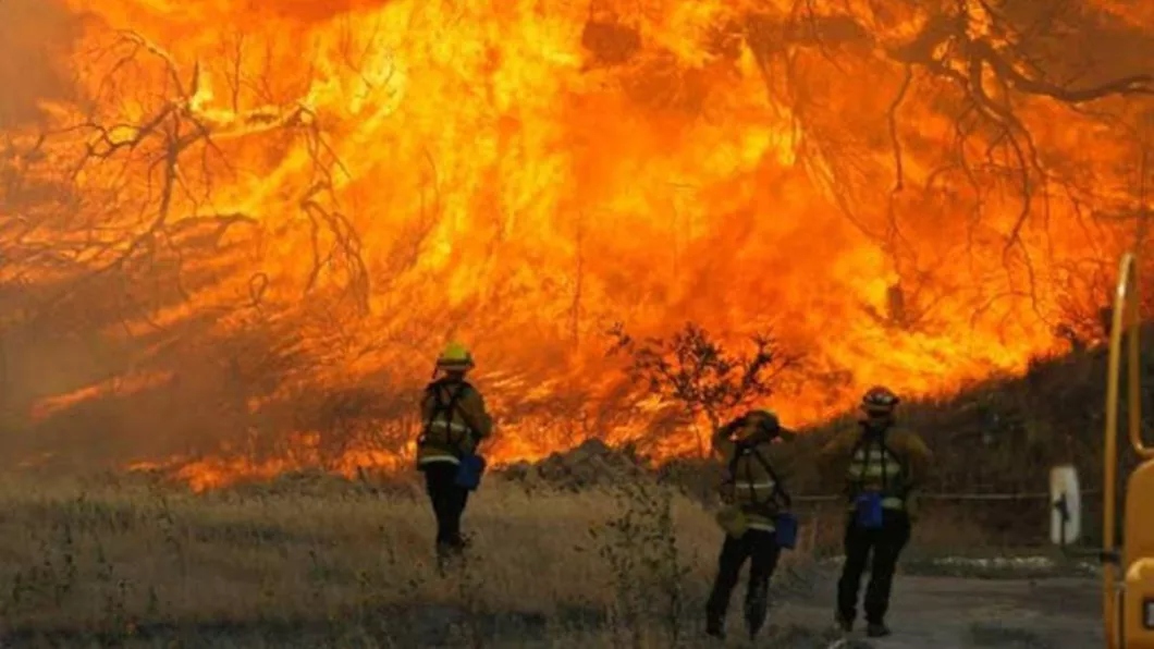 Incendiu de vegetație în California. Flăcările s-au răspândit pe opt sute de hectare. Un spital și sute de case evacuate