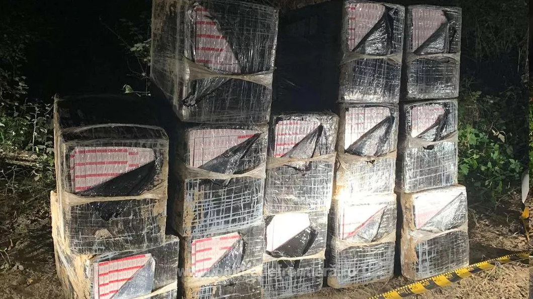 Țigări de contrabandă în valoare de peste 100 mii euro descoperite de polițiștii de frontieră în zona Țuțora din județul Iași
