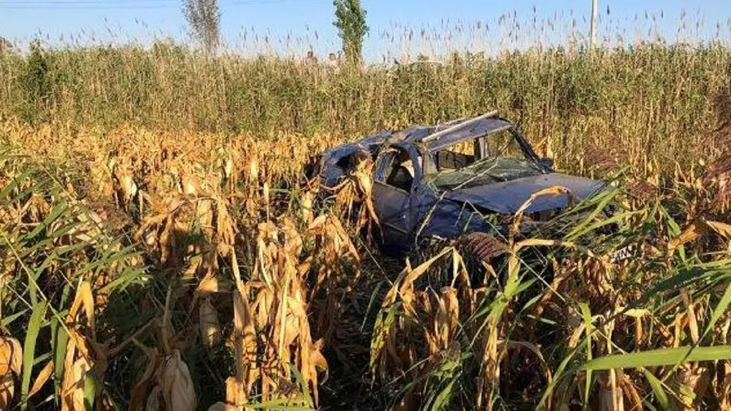 Descoperire şocantă într-un lan de porumb din Vrancea. Un ţăran a găsit doi tineri morţi într-un autoturism